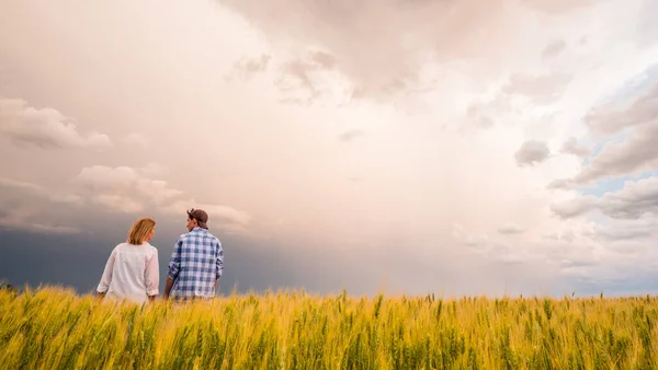 Ένα ζευγάρι αγροτών στέκονται σε ένα χωράφι με σιτάρι εν μέσω ενός δραματικού θυελλώδους ουρανού — Φωτογραφία Αρχείου