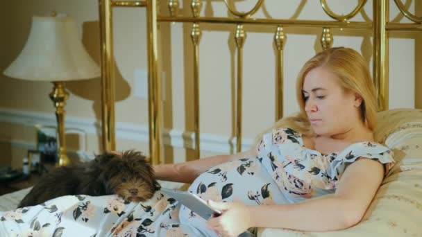Seorang wanita hamil menggunakan tablet di kamar tidurnya, anjingnya terbaring di sampingnya — Stok Video