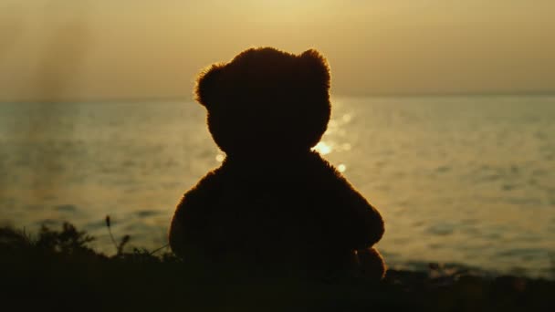 La silueta de un osito de peluche, sentado en la orilla con vistas a la puesta del sol — Vídeos de Stock