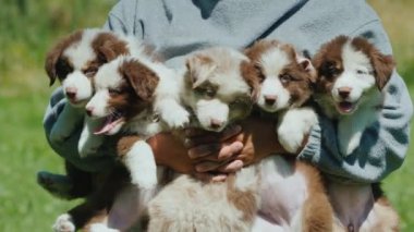 Sahibi kollarında birkaç sevimli köpek yavrusu tutuyor.