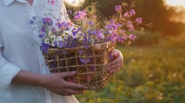 Bir kadın elinde bir sepet yabani bahar çiçeğiyle sahada yürüyor.