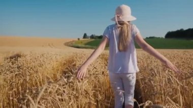 Kaygısız bebek altın buğday tarlasında yürüyor