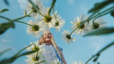 Bir çocuk sahada papatya koparır. Aşağıdan görüntüle
