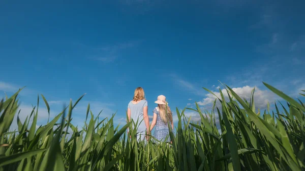 Een vrouw en een kind staan op een prachtige weide met hoog gras, hand in hand — Stockfoto