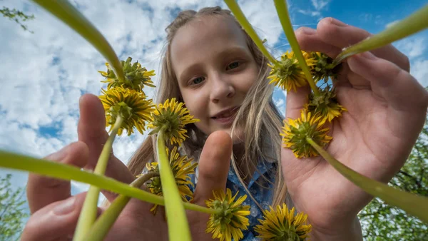 Funny kid looks at yellow dandelions. Low angle view — Stock Photo, Image