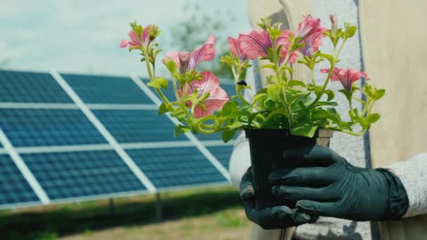 Γυναίκα κατέχει κατσαρόλα με λουλούδι μπροστά από το σπίτι ηλιακή μονάδα παραγωγής ενέργειας — Αρχείο Βίντεο