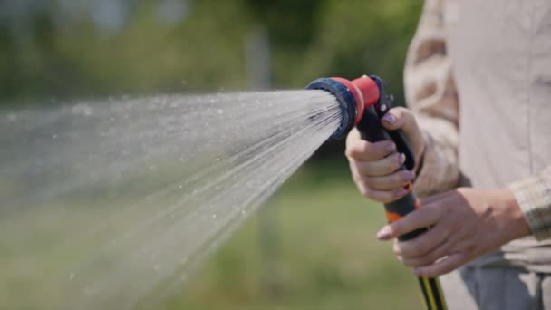 Gärtnerin schüttet Pflanzen aus Gartenschlauch — Stockvideo