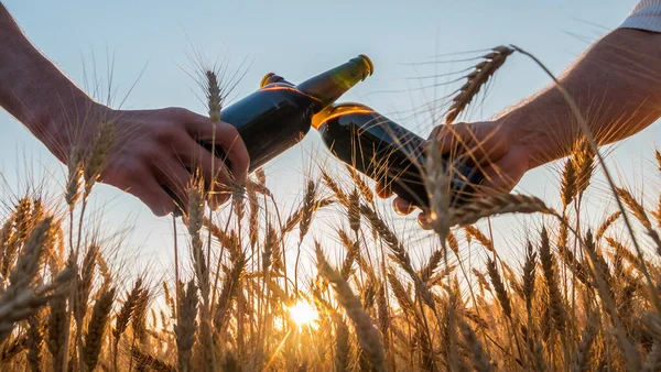 Two men clink bottles of beer on a background of a wheat. Low angle shot — Stock Photo, Image