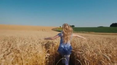 Sarışın kız buğday tarlasında koşuyor.