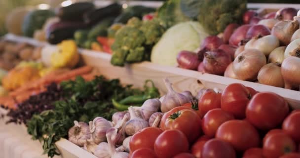 Contatore di verdure alla fiera degli agricoltori — Video Stock