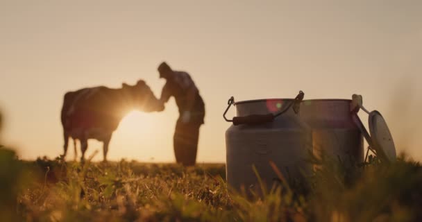 The silhouette of a farmer, stands near a cow. Milk cans in the foreground — Stock Video