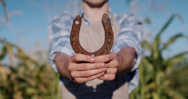 Jordbrukaren visar en häst - en symbol för lycka — Stockvideo