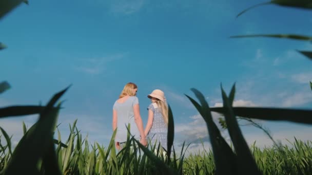 Low angle shot: Een vrouw en een kind staan zij aan zij tegen de achtergrond van een sereen landschap — Stockvideo