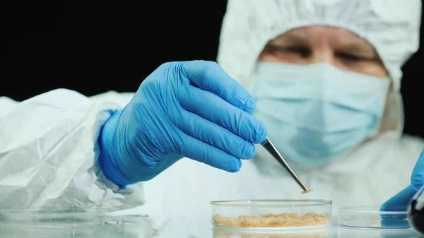 Wissenschaftler im Labor führt Experimente mit Maden durch — Stockfoto
