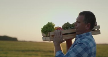 Çiftçi gün batımında omuzunda bir kutu sebze taşır. Yan görünüm