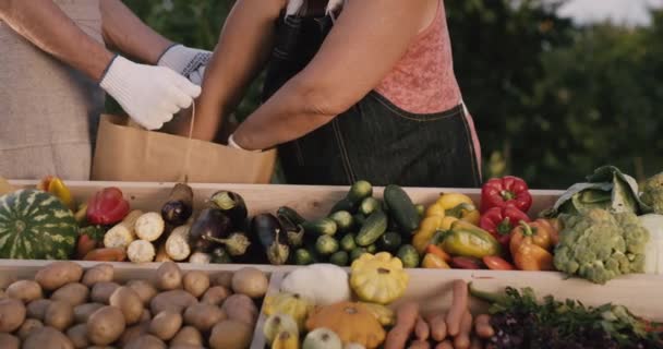 Prodávající dává brambory do balení kupujících. V popředí čítače s okny — Stock video