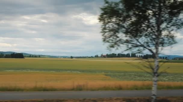 Paisaje rural en Noruega - desde la ventana se pueden ver campos donde se encuentran montones de paja después de la cosecha — Vídeos de Stock