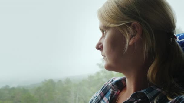 Un pasajero de autobús mira el bosque en la niebla — Vídeos de Stock