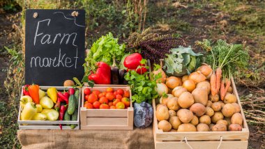 Çiftçi pazarının tezgahı. Çiftçilerin mevsimlik sebzeleri