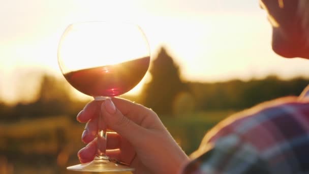 Napsugarak egy pohár vörösborban. A kéz egy poharat tart a háttérben a szőlő és a lenyugvó nap — Stock videók
