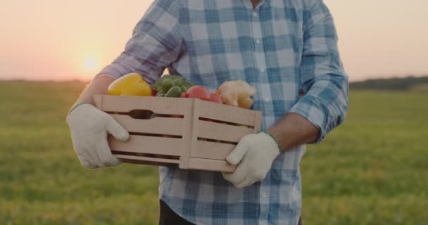 Ένας αρσενικός αγρότης έχει ένα ξύλινο κουτί με λαχανικά. Στέκεται στο γήπεδο του — Αρχείο Βίντεο