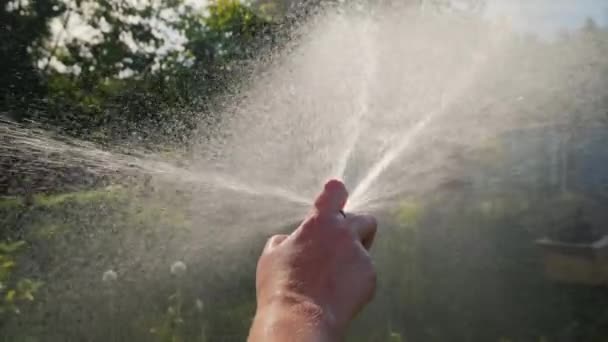 Ruka se zahradní hadicí zavlažování zahrada a stromy v zahradě — Stock video