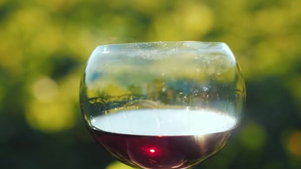 Szklanka czerwonego wina na tle winnicy, słońce świeci na szklance — Wideo stockowe