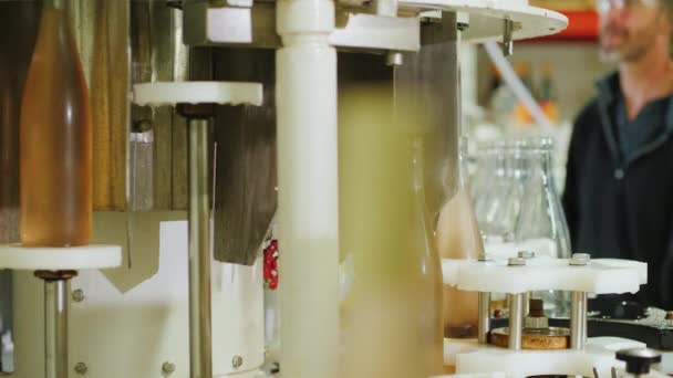 Um transportador com garrafas de vinho rosa, em segundo plano, um trabalhador monitora o trabalho do equipamento — Vídeo de Stock