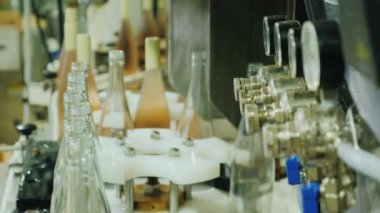 Şarap şişeleri tıpa tıpası ile kapalı. Taşıyıcı bant boyunca hareket ediyor..