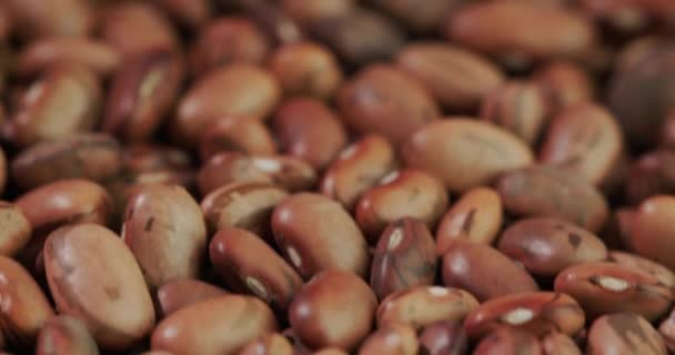 Slider 4k shot: Fazole různých odrůd leží na stole - lahodné a zdravé jídlo — Stock video
