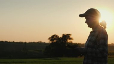Bir çiftçinin silueti elinde tabletle buğday tarlası boyunca yürüyor.