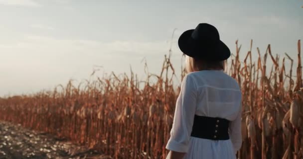 Widok z tyłu: Kobieta rolnik w sukience i kapeluszu spaceruje po polach dojrzałej kukurydzy. — Wideo stockowe