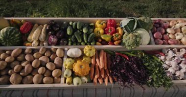 Üst manzara: Çiftçi pazarında mevsimlik sebzelerle dolu bir tezgah. Yerel üreticilerden bir sebze seçimi.