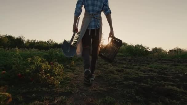 Un fermier avec une boîte et une pelle traverse le champ au coucher du soleil. Concept de récolte — Video