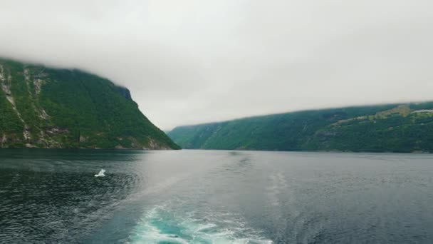 Norges majestätiska fjord - en vy från aktern av fartyget — Stockvideo