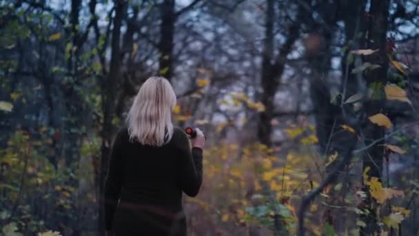 Zadní pohled na vyděšenou ženu kráčí lesem za soumraku, osvětluje si cestu baterkou — Stock video