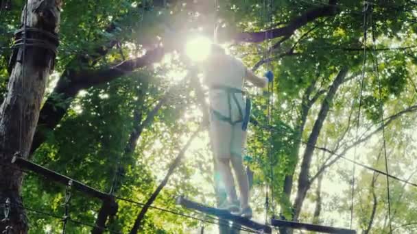 Hoch auf einem Baum bewegt sich ein Kind auf einem Seil, benutzt Versicherungsseile — Stockvideo