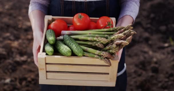 Çiftçi sebzelerle dolu ahşap bir kutu tutuyor - sağlıklı ve lezzetli yemekler için malzemeler. — Stok video