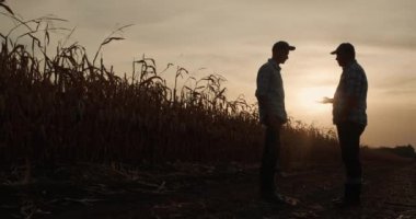İki adam mısır tarlasının arka planında el sıkışıyor. Gün batımında siluetler