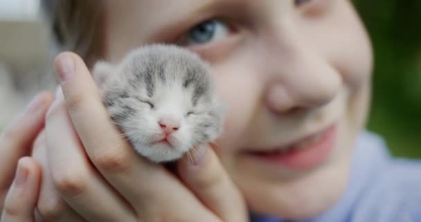 Bayi memegang anak kucing yang baru lahir dengan wajahnya — Stok Video