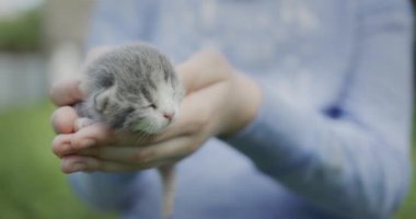Bebek yeni doğmuş kedi yavrusunu yüzünden tutuyor.