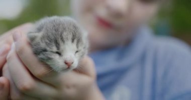 Bebeğin kucağında yeni doğmuş bir kedi yavrusu