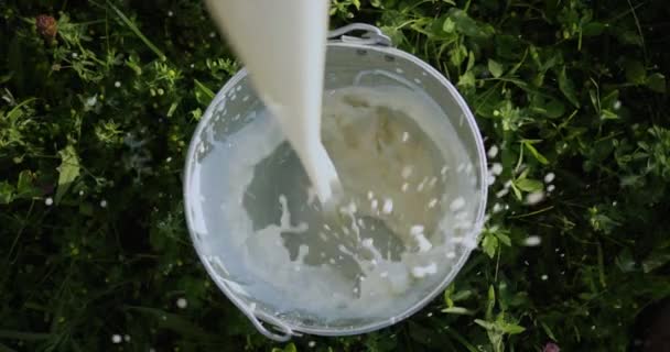 Молоко наливают в ведро. Вид сверху, ведро стоит на зеленой траве — стоковое видео