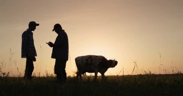 Twee boeren schudden elkaar de hand, staan op de weide waar de koeien grazen. Handel in landbouwbedrijfsconcept — Stockvideo