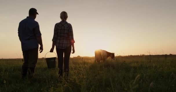Un par de granjeros admiran a su vaca pastando en un prado al atardecer — Vídeo de stock