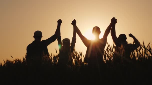 Quattro contadini che si tengono per mano li sollevano su un campo di grano. Una squadra di agricoltori di successo — Video Stock