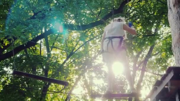 Nybörjare klättrare tåg på rep i trädgrenar — Stockvideo