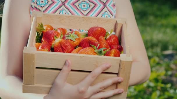 Baby holds a box of fresh juicy strawberries — Stock Video