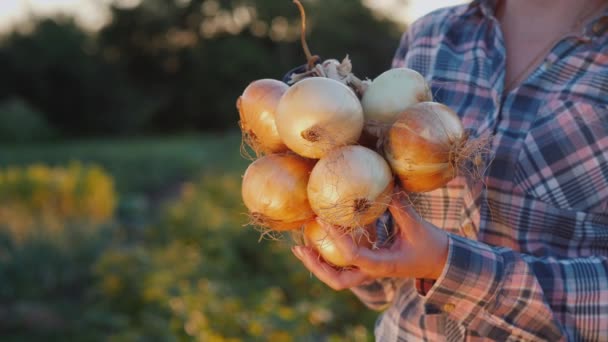A farmernél van egy zsák hagyma, jó termés a földjéről. — Stock videók