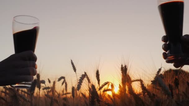 Dłonie stukają kieliszkami piwa o zachodzie słońca. Stań na polu pszenicy. Ujęcie w zwolnionym tempie — Wideo stockowe